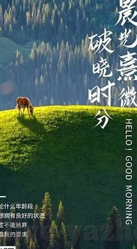宣宣影视伦理片-宣宣影视伦理片，艺术与道德的微妙平衡